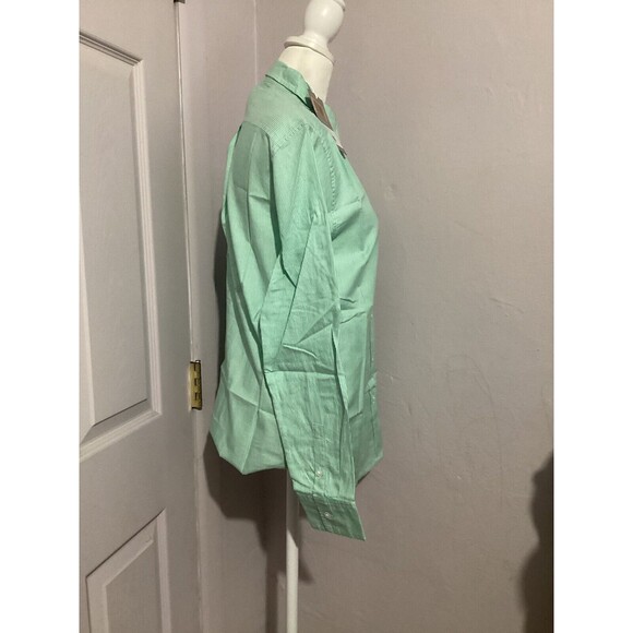 Everlane The Silky Cotton Relaxed Long Sleeve Button Up Shirt Striped Mint 0Flaw - Picture 6 of 9